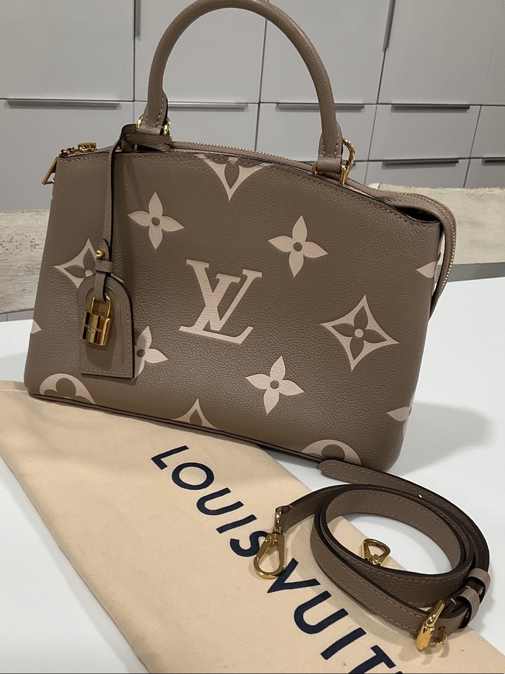 Louis Vuitton PETIT PALAIS Bicolor Monogram Empreint Leather Bag